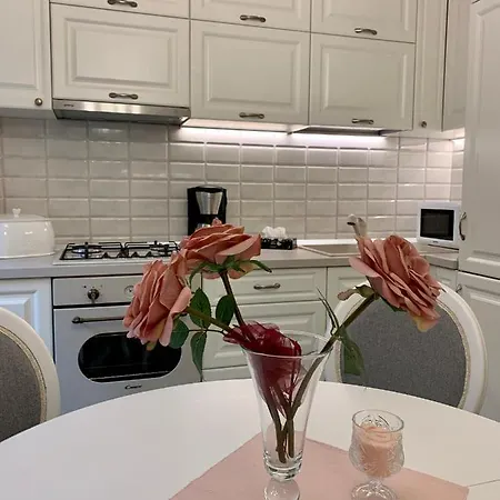 Luxury Apartment