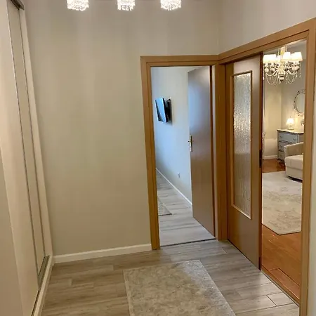 Luxury Apartment
